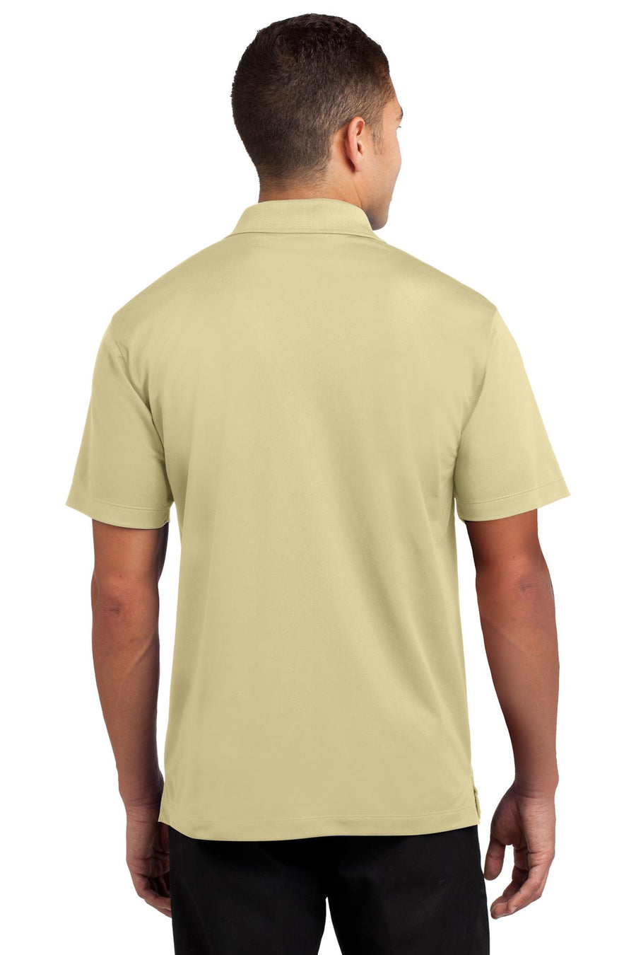 ST650-Vegas Gold-back_model