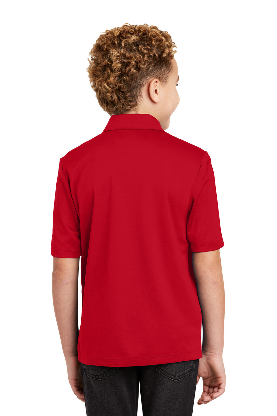 Y540-Red-back_model