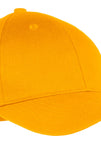 Port & Company®Youth Six-Panel Twill Cap.  YCP80